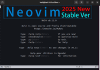 Ubuntu 24.04 编译安装 Neovim 0.11 稳定版终端界面截图